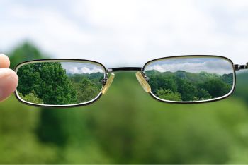 Den Wald vor lauter Bäumen nicht sehen